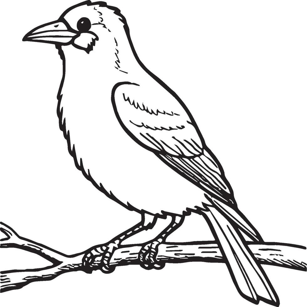 Crow coloring pages. Crow bird outline for coloring book vector