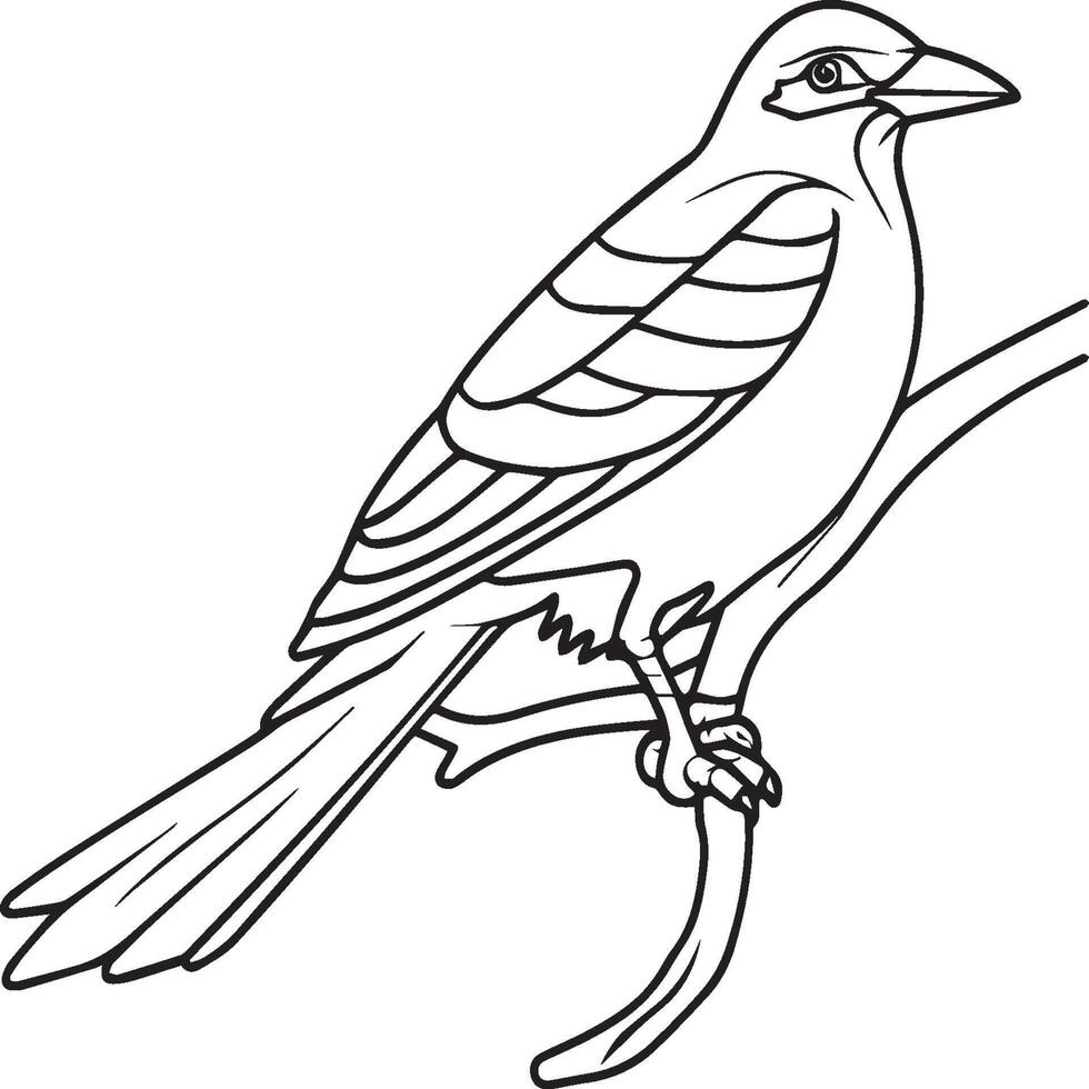 Magpie Flying Bird for children. Coloring book. Bird illustration. Magpie coloring pages vector