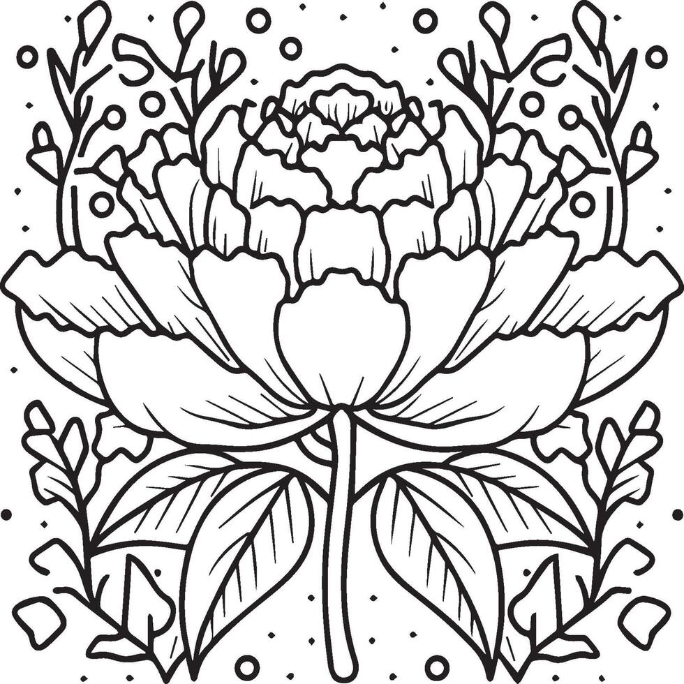 Peony coloring pages. Peony flower outline for coloring book vector