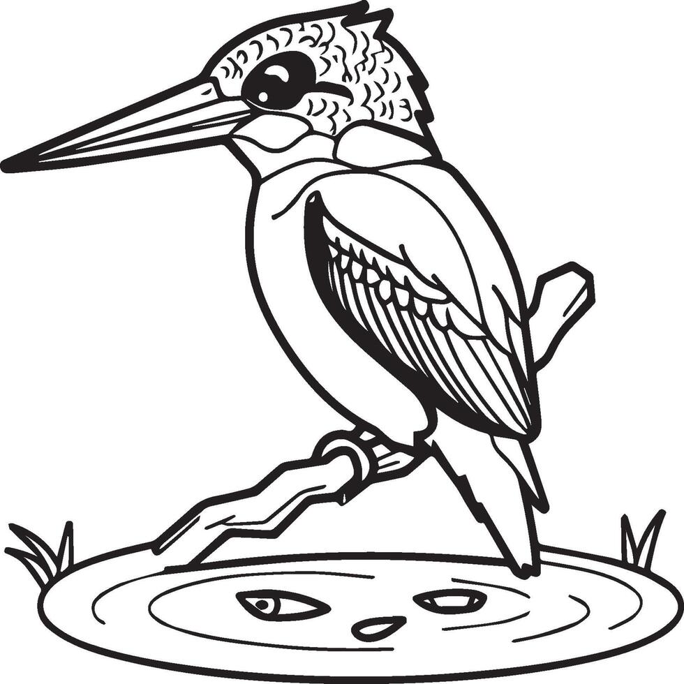 Kingfisher coloring page. A black and white drawing of kingfisher vector