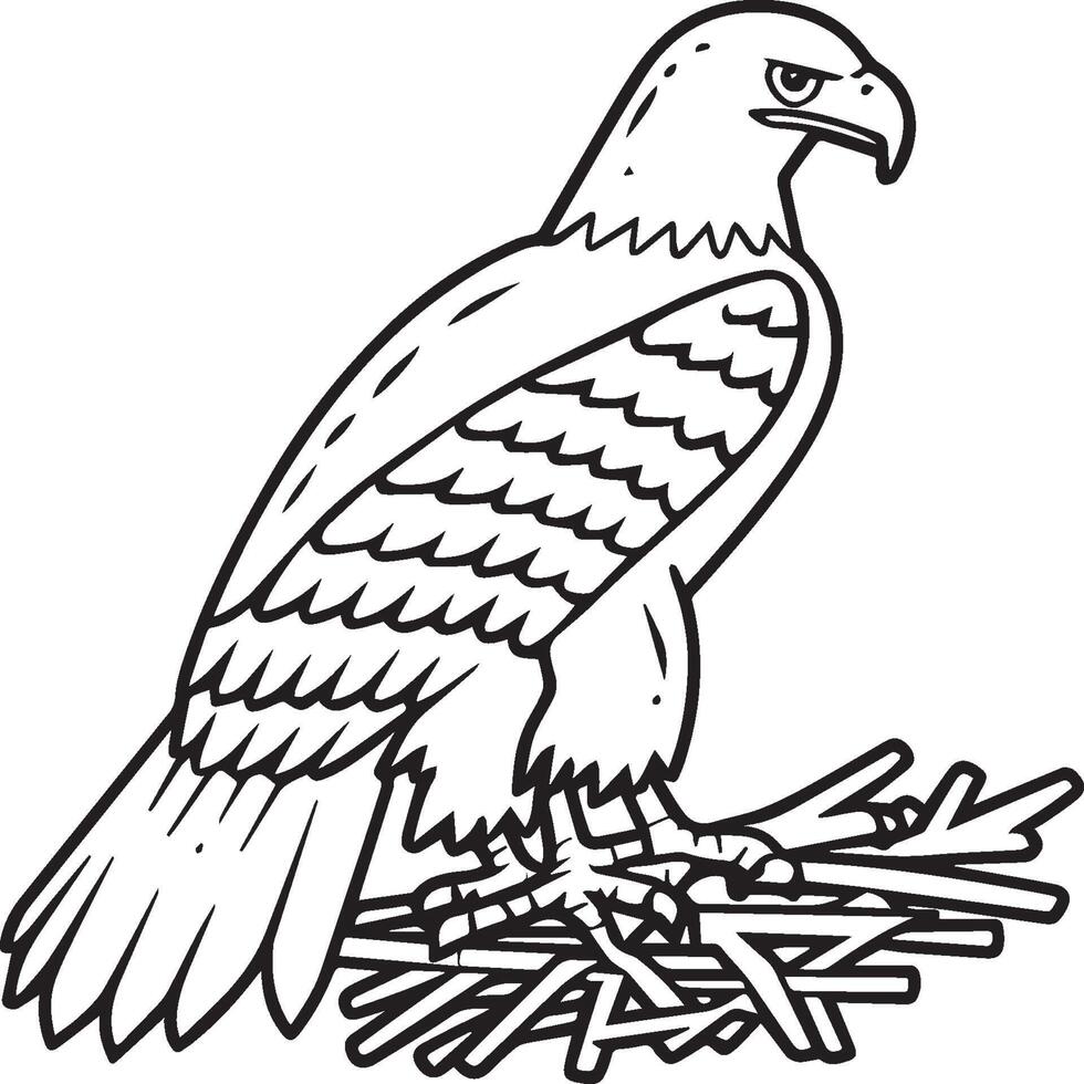 Eagle coloring pages. Eagle bird outline for coloring book vector