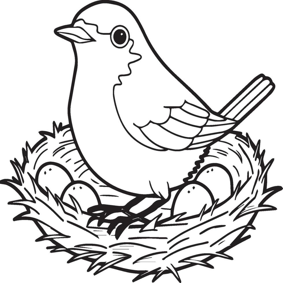 Robin coloring pages. Robin bird outline for coloring book vector