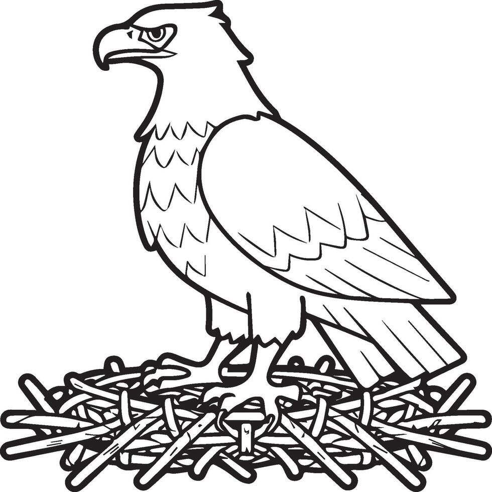 Eagle coloring pages. Eagle bird outline for coloring book vector