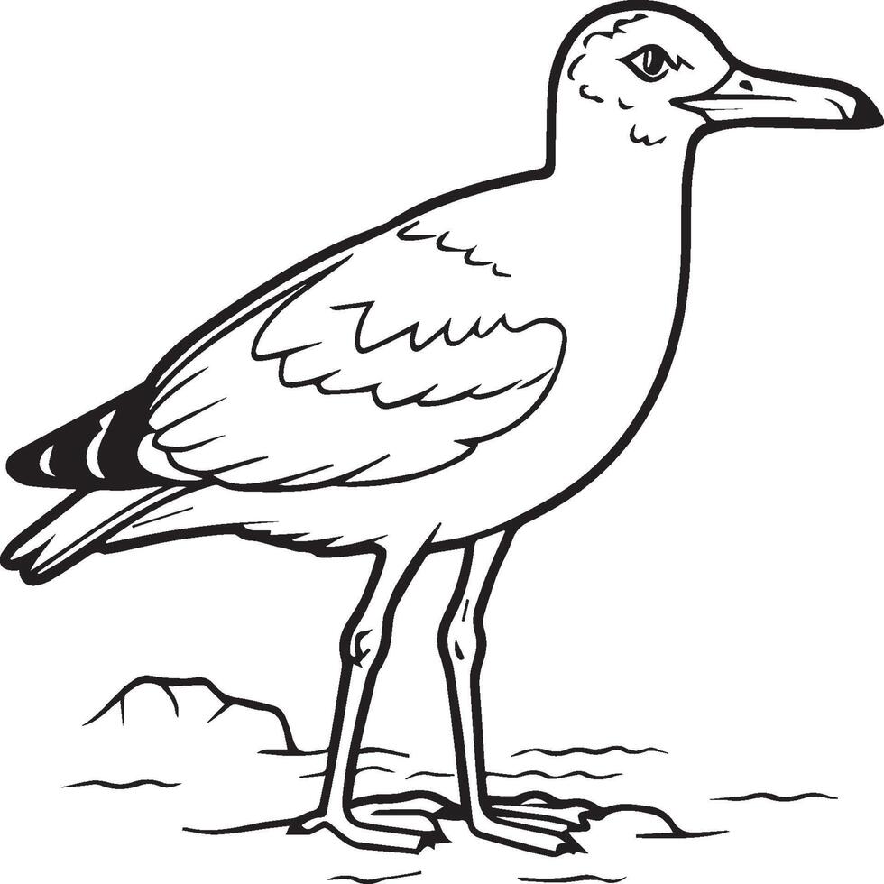 Seagull coloring pages. Seagull outline for coloring book vector
