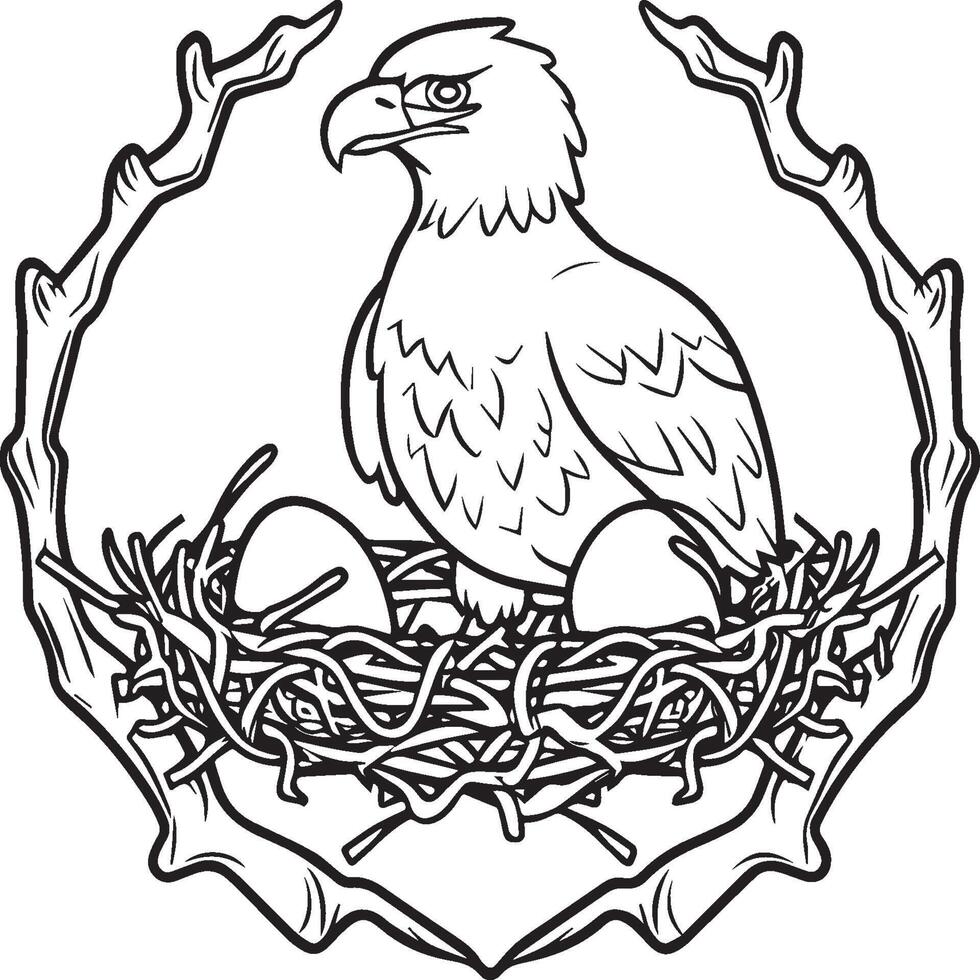 Eagle coloring pages. Eagle bird outline for coloring book vector