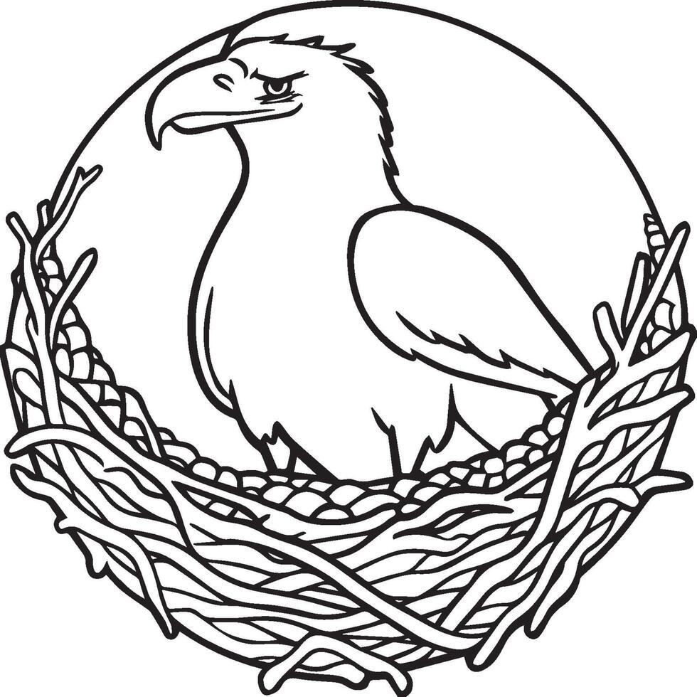 Eagle coloring pages. Eagle bird outline for coloring book vector