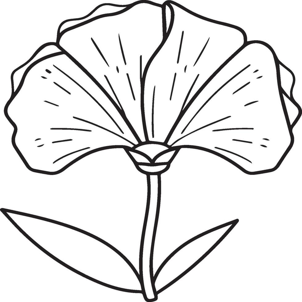 Carnation flower coloring pages. Carnation flower outline vector