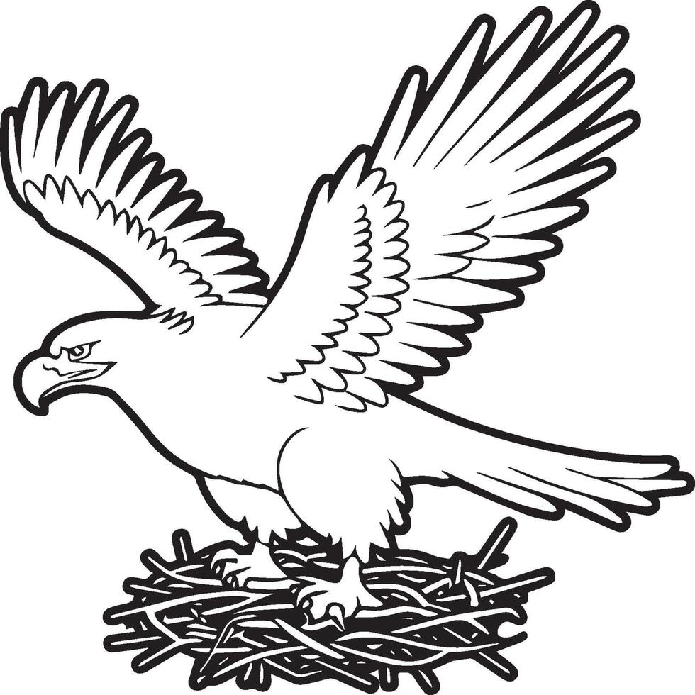 Eagle coloring pages. Eagle bird outline for coloring book vector