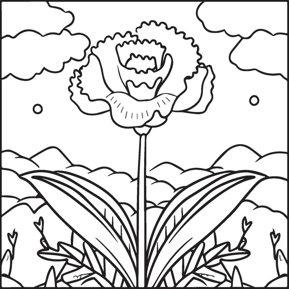 Carnation flower coloring pages. Carnation flower outline vector