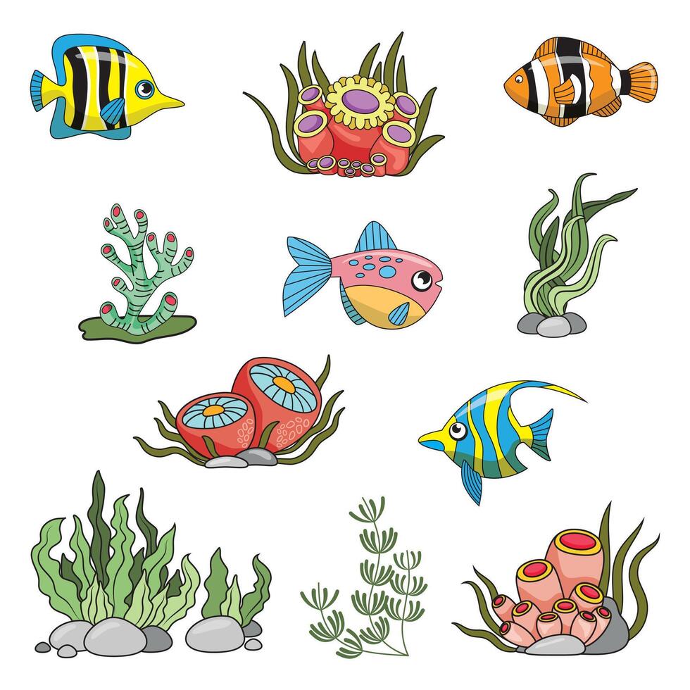 marina colocar, pez, anémonas, algas y coral en sencillo dibujos animados estilo. color gráficos para libros y carteles niños guías vector