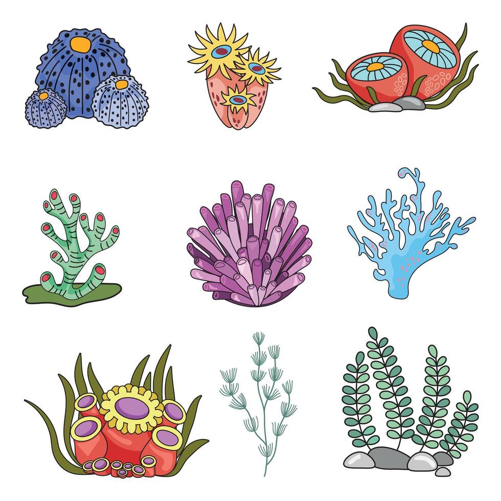 Marine set, anemones, algae and coral in a simple cartoon style. Color graphics for books and posters. children guides vector