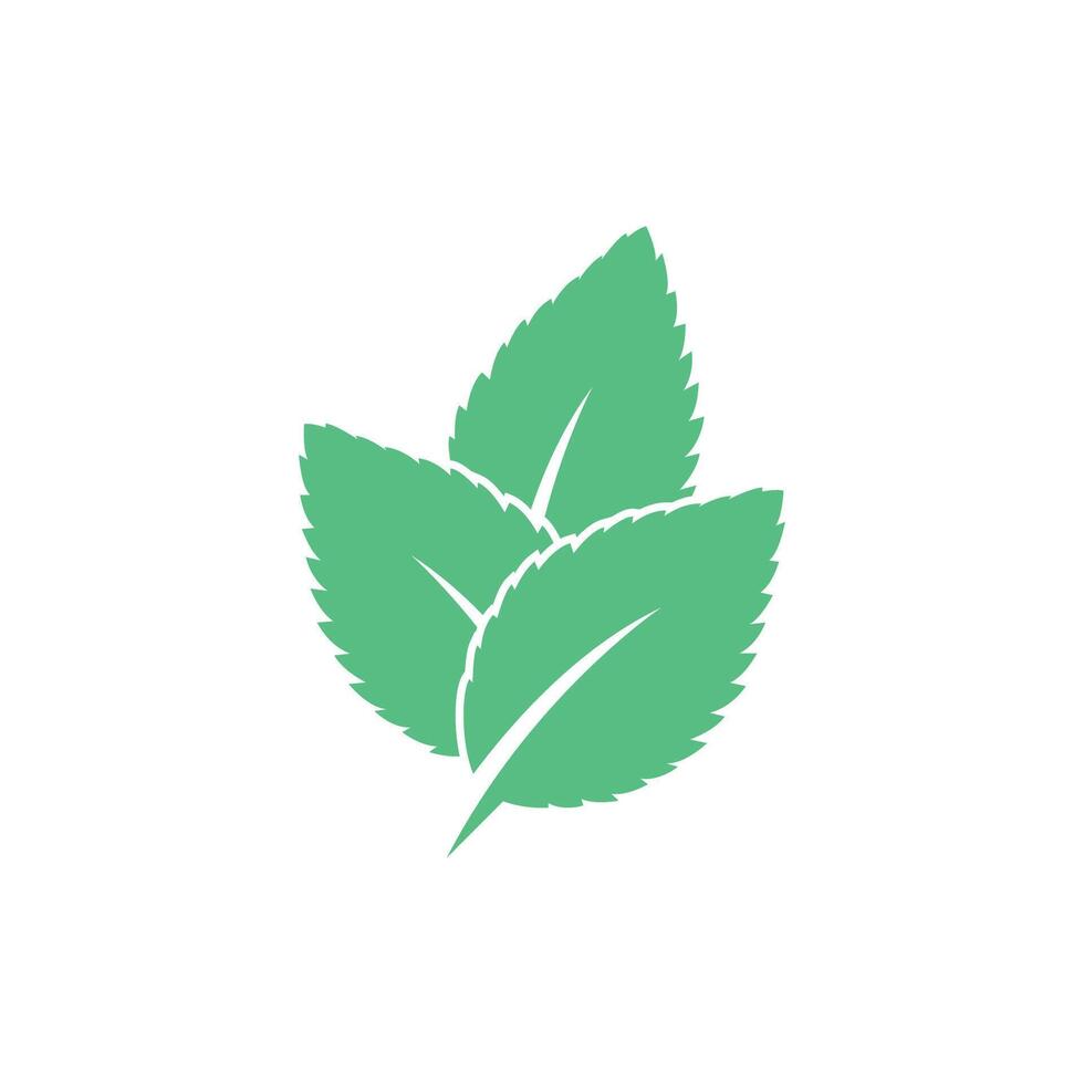 Mint leaf logo template symbol design vector