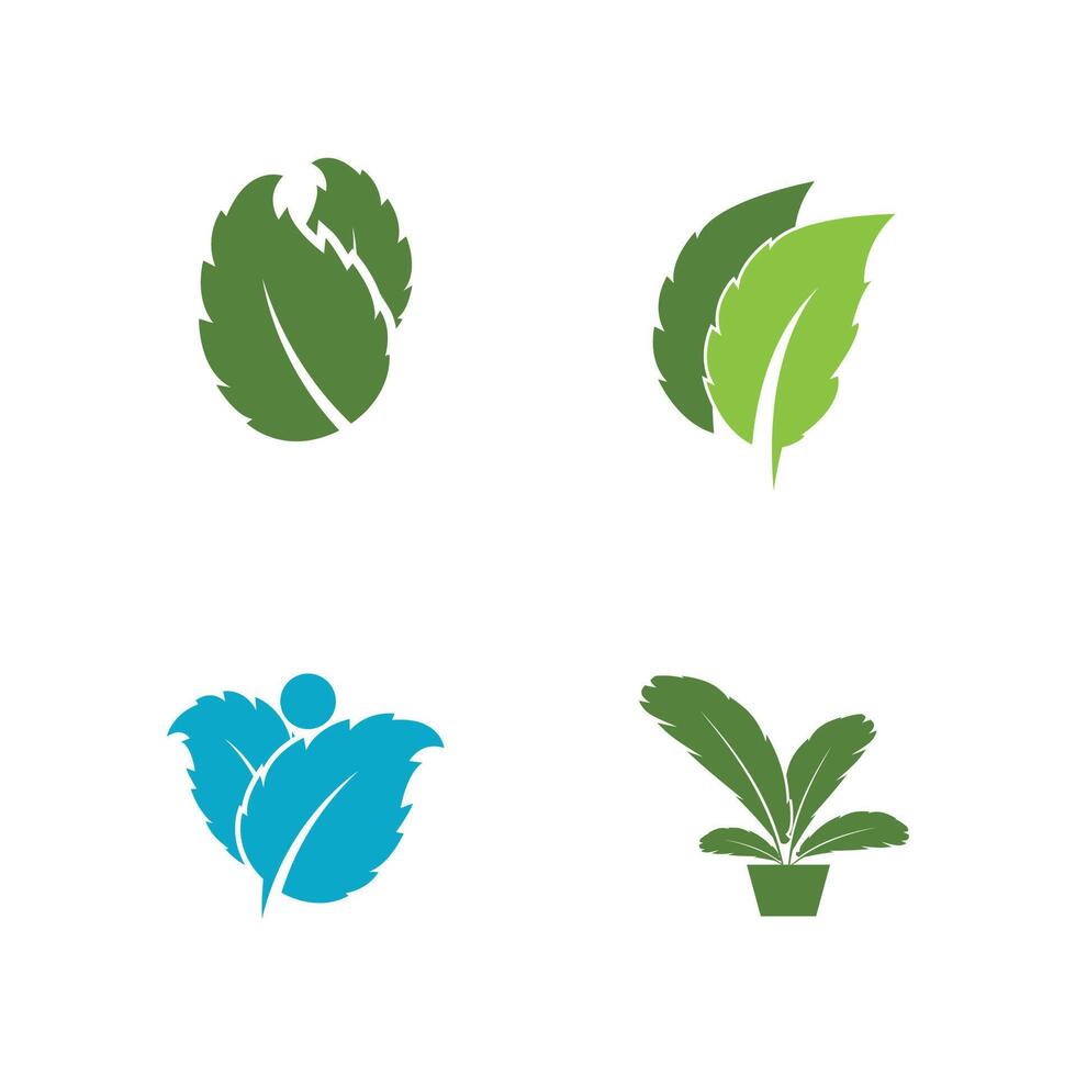 Mint leaf logo template symbol design vector