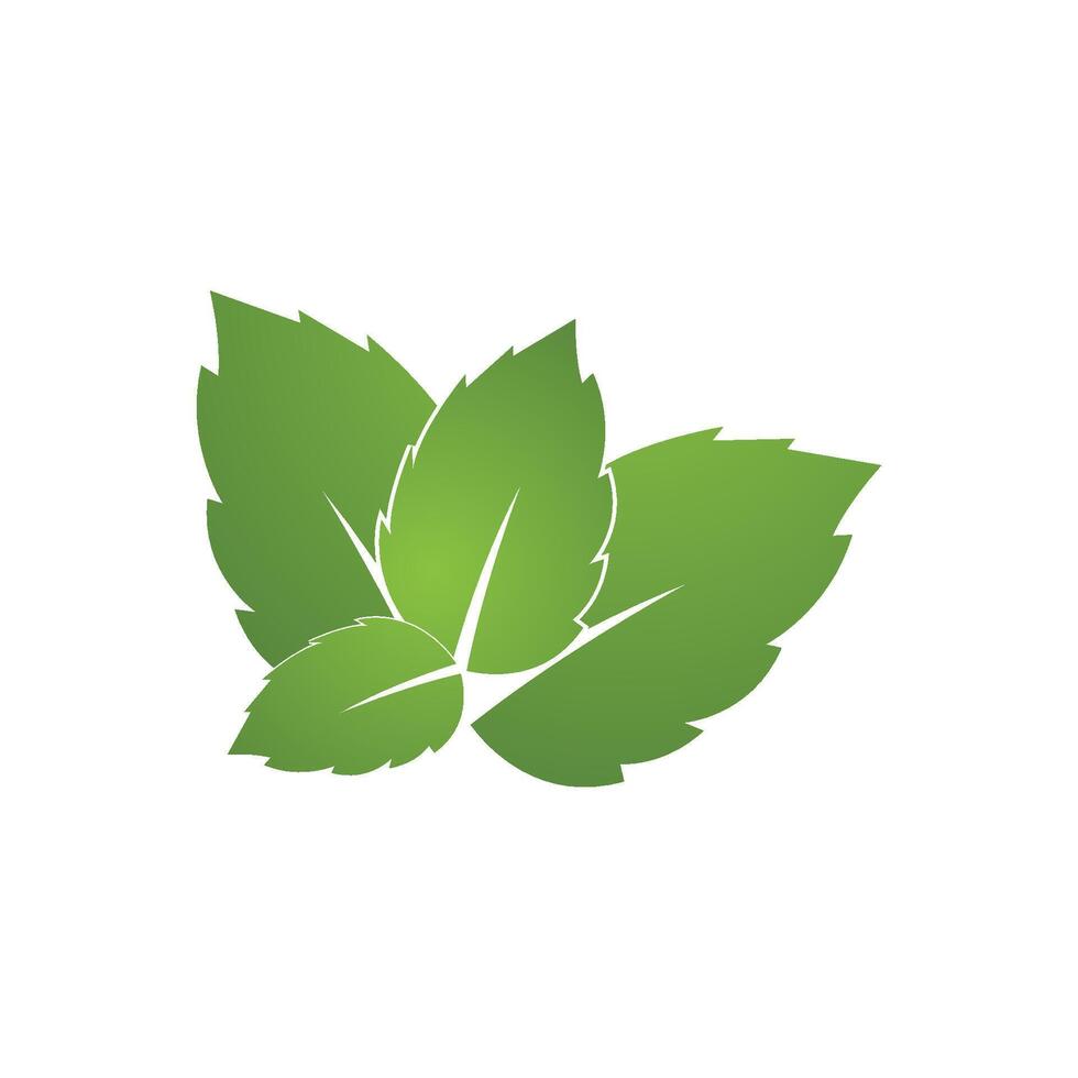 Mint leaf logo template symbol design vector