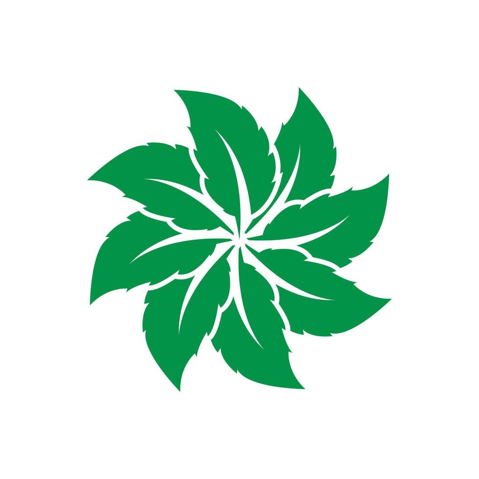 Mint leaf logo template symbol design vector