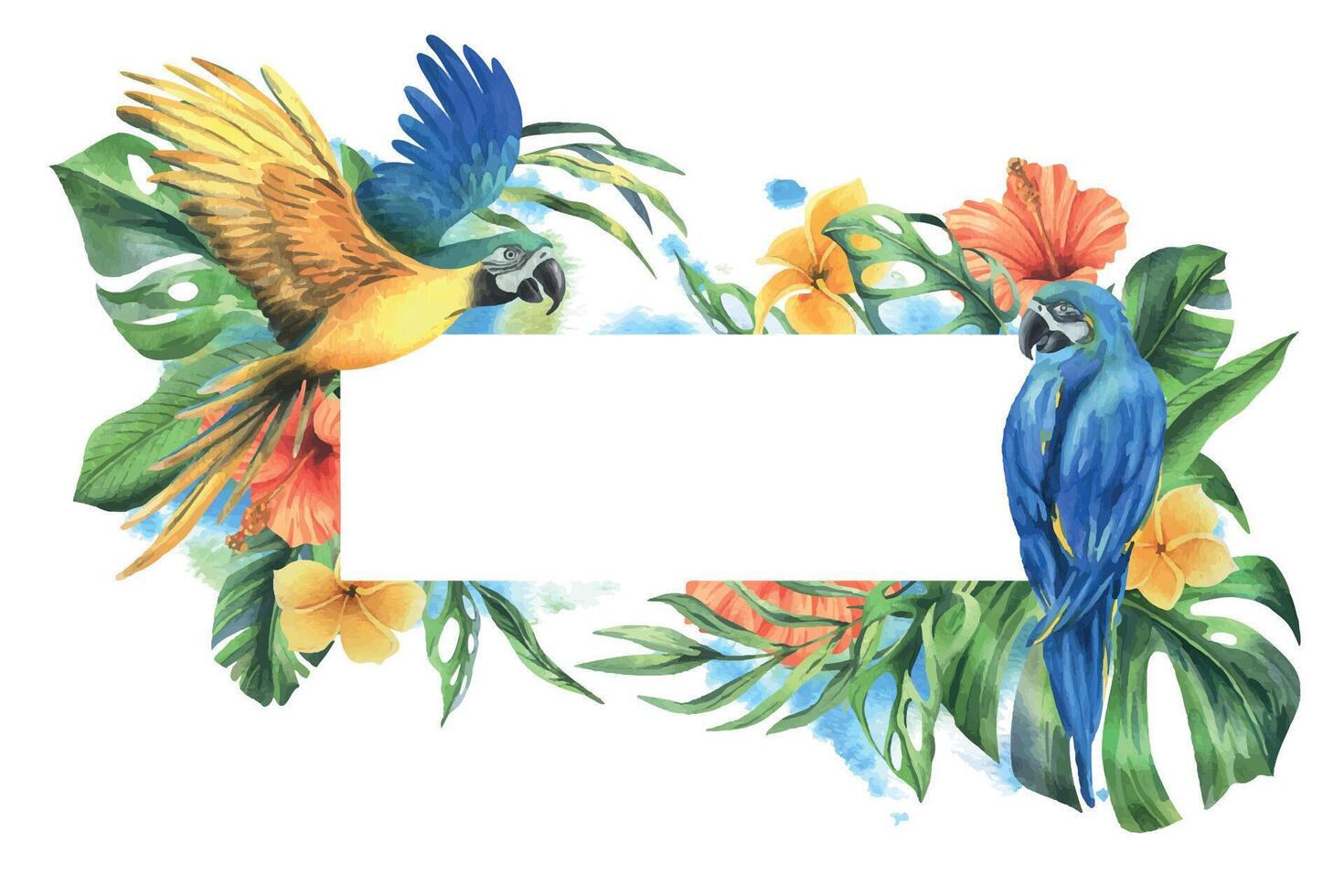 Tropical palm leaves, monstera and flowers of plumeria, hibiscus with blue-yellow macaw parrot. Hand drawn watercolor botanical illustration. Template rectangular frame isolated from the background vector