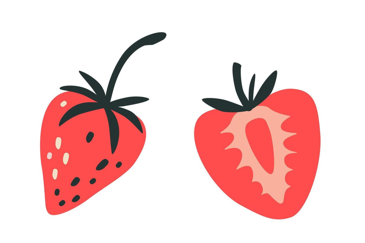 Strawberry, whole and half berry, cartoon style. Trendy modern illustration isolated on white background, hand drawn, flat design vector