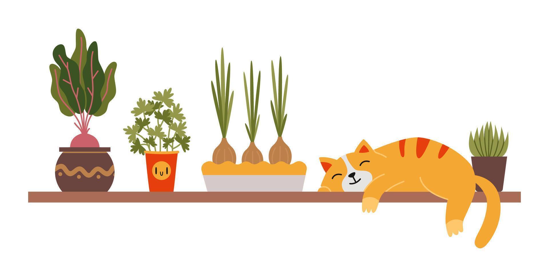 un linda gato es dormido en un estante siguiente a un hogar cocina jardín, raíz de remolacha cebollas y perejil en ollas. urbano acogedor hogar jardinería pasatiempo. de moda moderno aislado ilustración, mano dibujado, plano vector