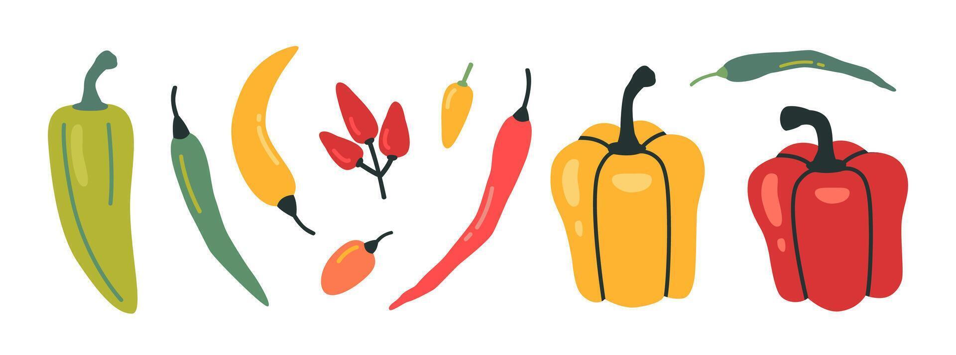 Set of peppers, various sorts, shapes and sizes. Chili, jalapeno, paprika, bell, hot and sweet peppers, cartoon style. Trendy modern illustration isolated on white, hand drawn, flat design vector