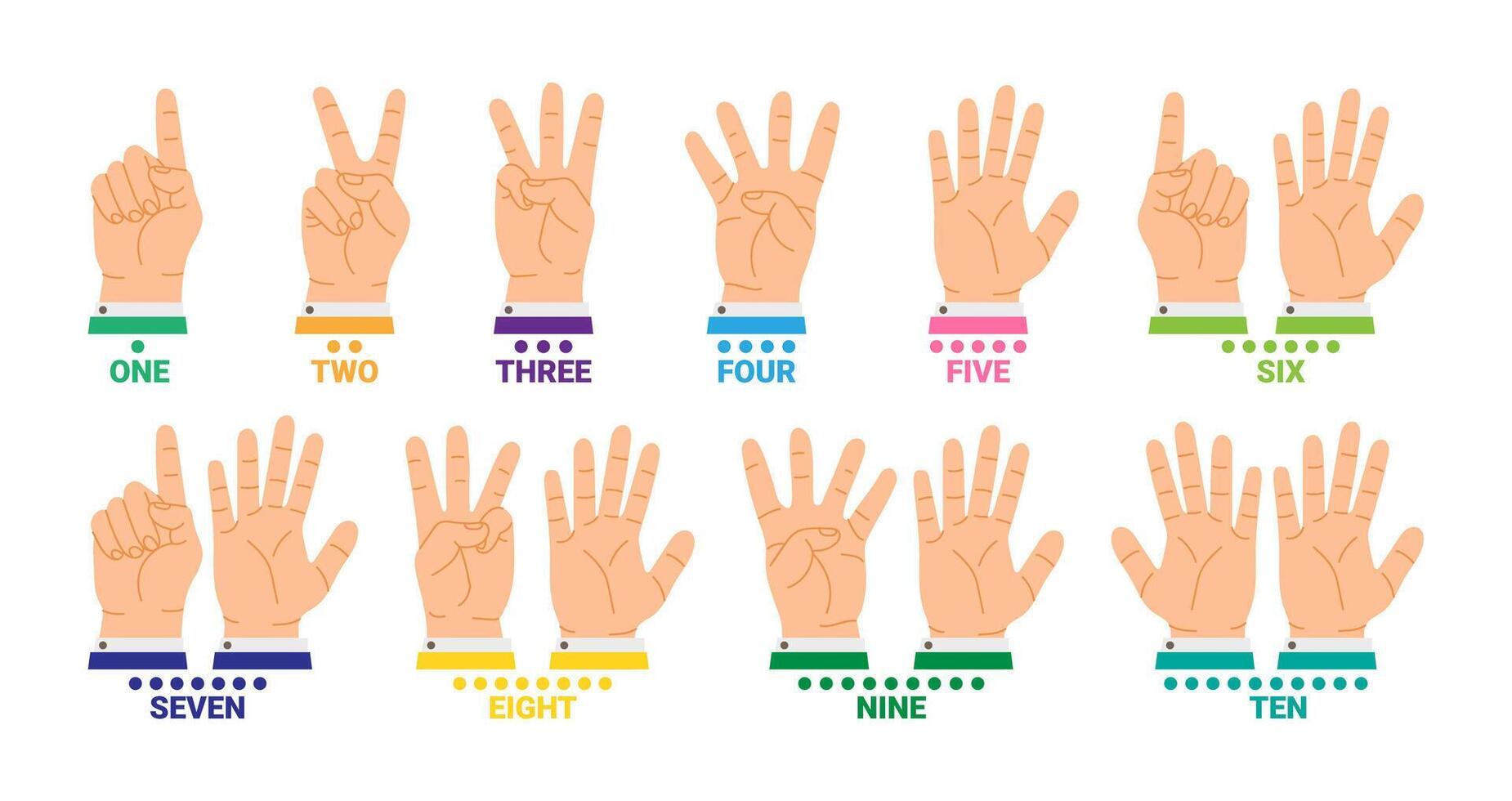 Hands count with fingers. Cartoon counting from one to ten, showing numbers, using hands gestures. Ten number dotted. Basics math learning. illustration vector