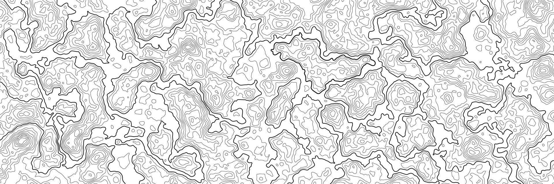 Contour topographic map. Map of heights pattern with wavy lines, contoured relief texture with topographical mountains, topography plains background vector