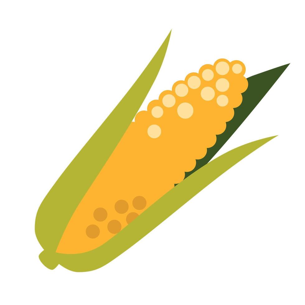 Ear of corn, corncob, cartoon style. illustration isolated on white background, hand drawn, flat design vector