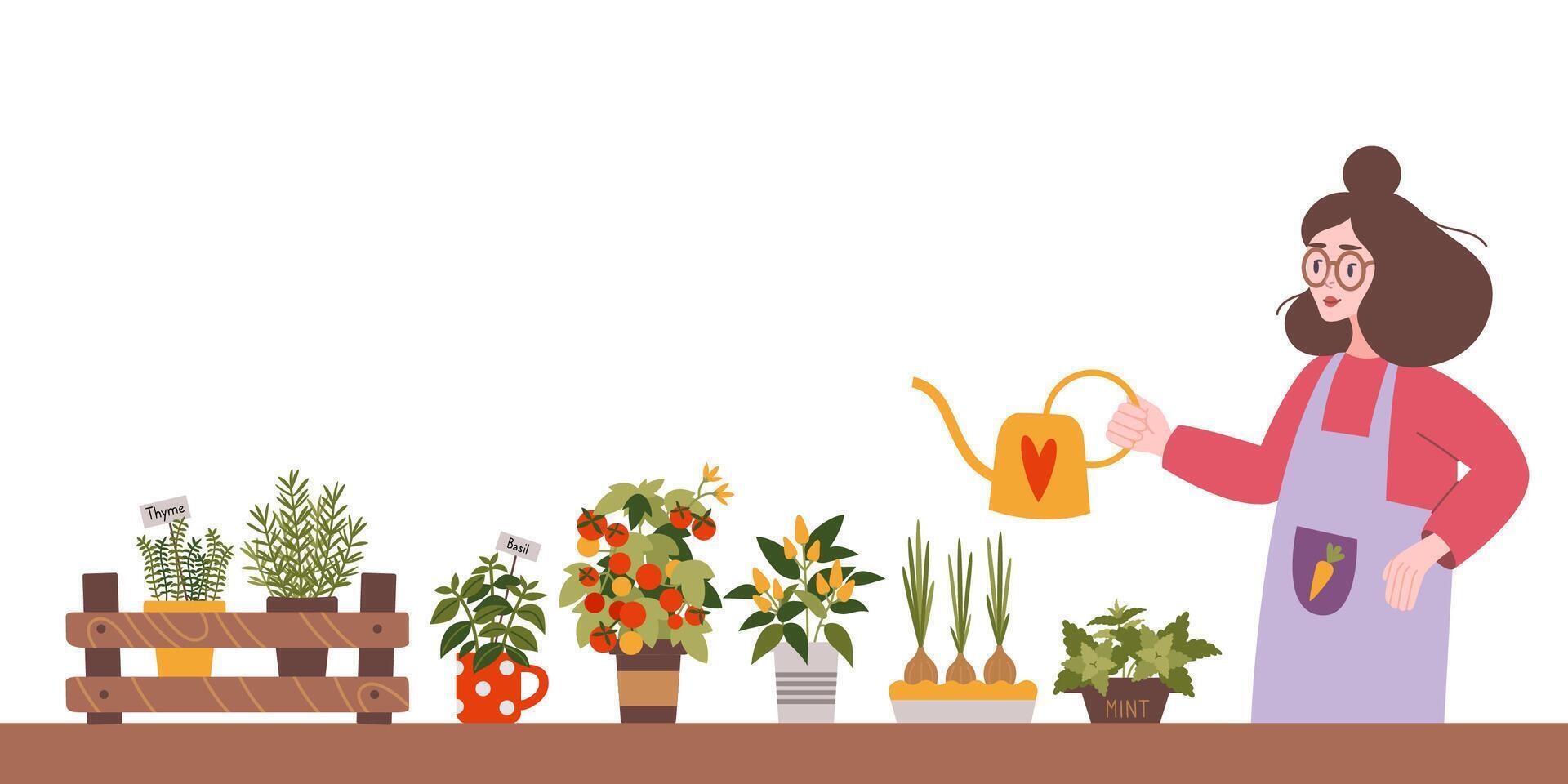 Woman watering plants at her kitchen garden, cartoon style. Herbs and vegetables, Indoor gardening hobby. Cozy activity. Trendy modern isolated illustration, hand drawn, flat vector