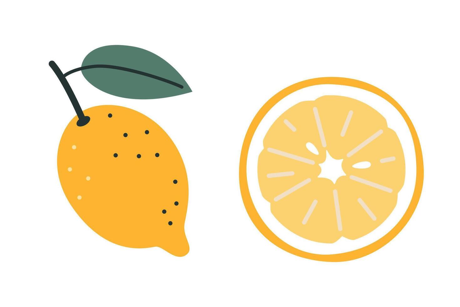 Lemon, whole fruit and slice, cartoon style. Trendy modern illustration isolated on white background, hand drawn, flat design vector