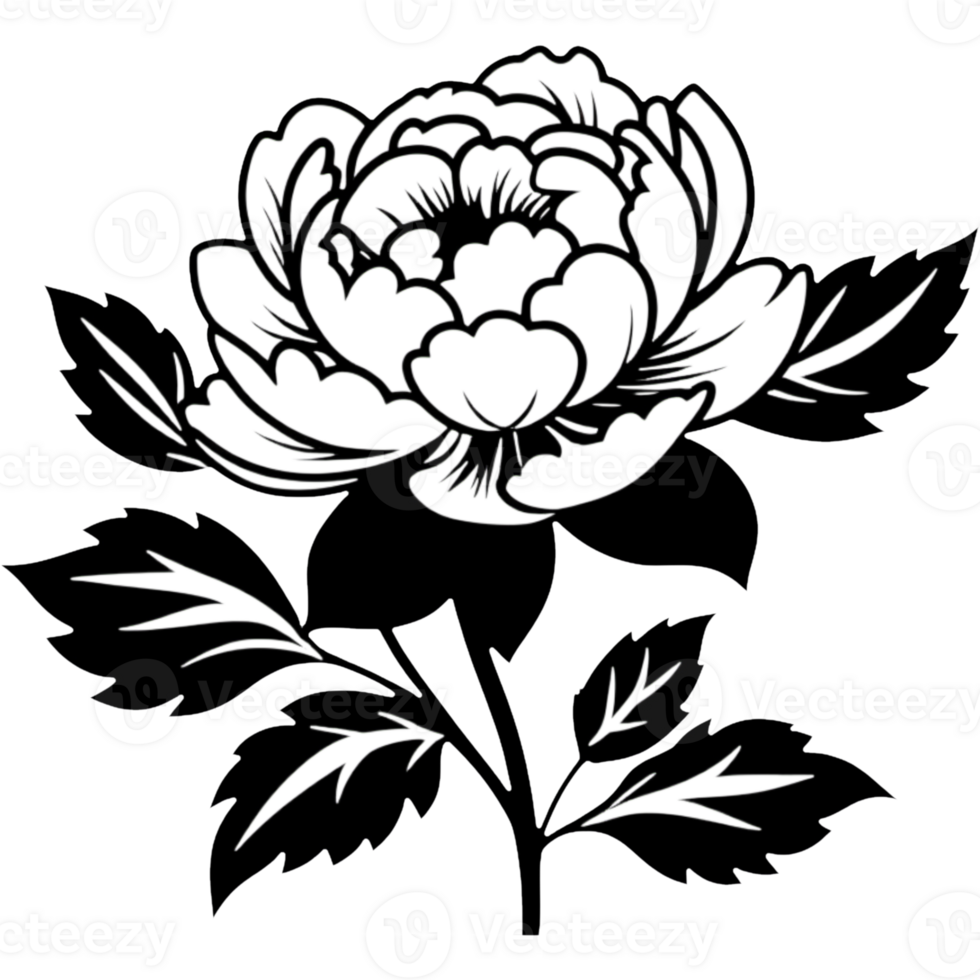 Minimalistic Peony Silhouette png