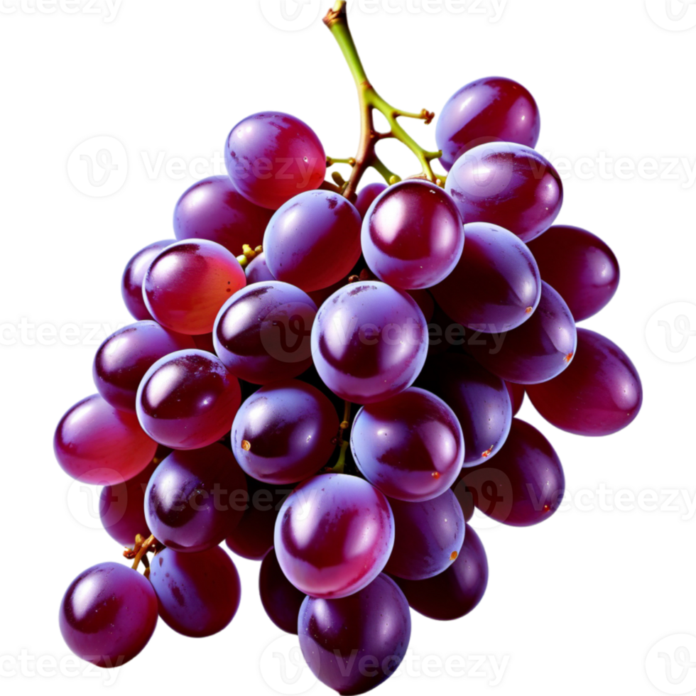 Purple Grapes With Branch png