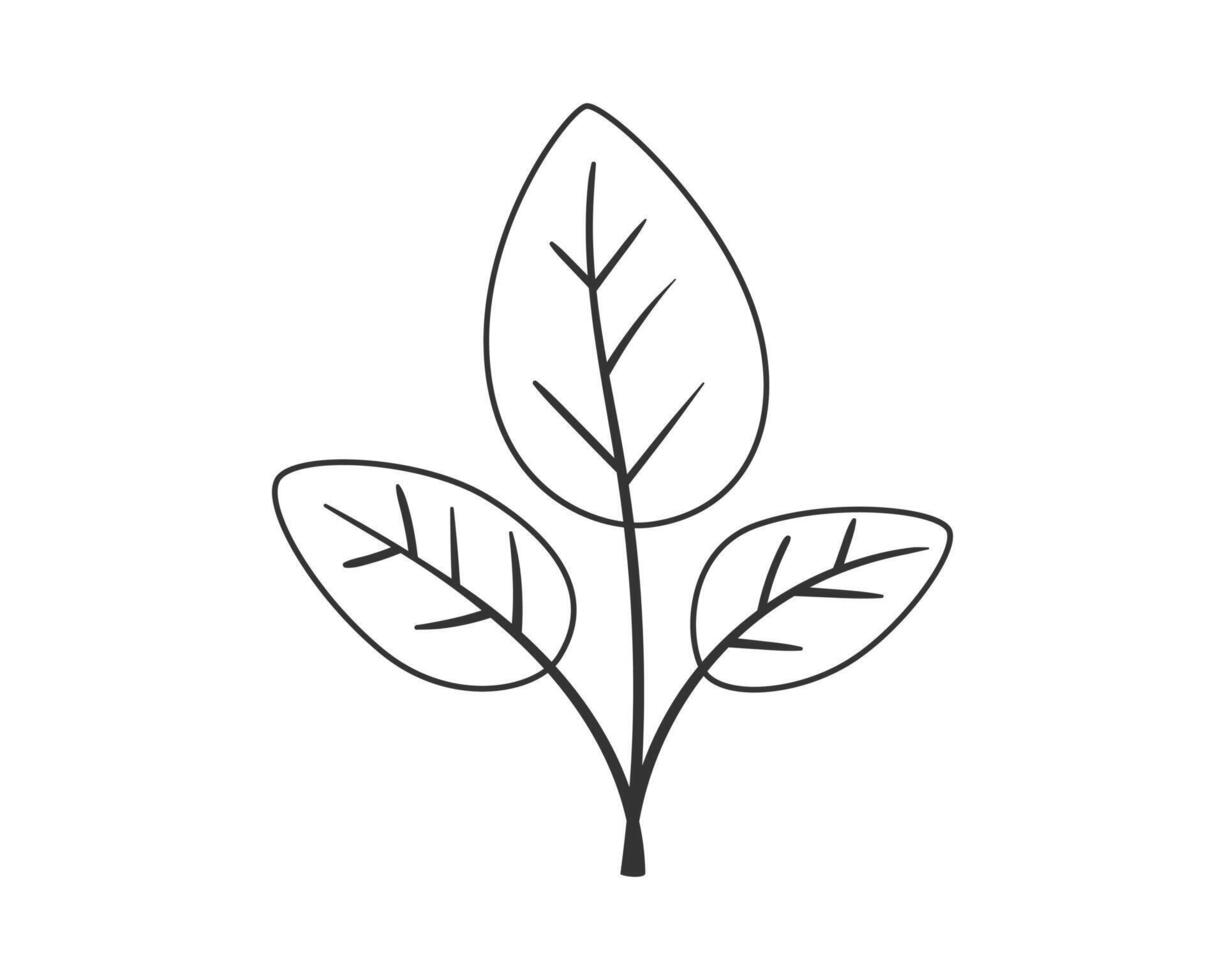 Sprout with leaf icon. Plant symbol of nature and environment. vector