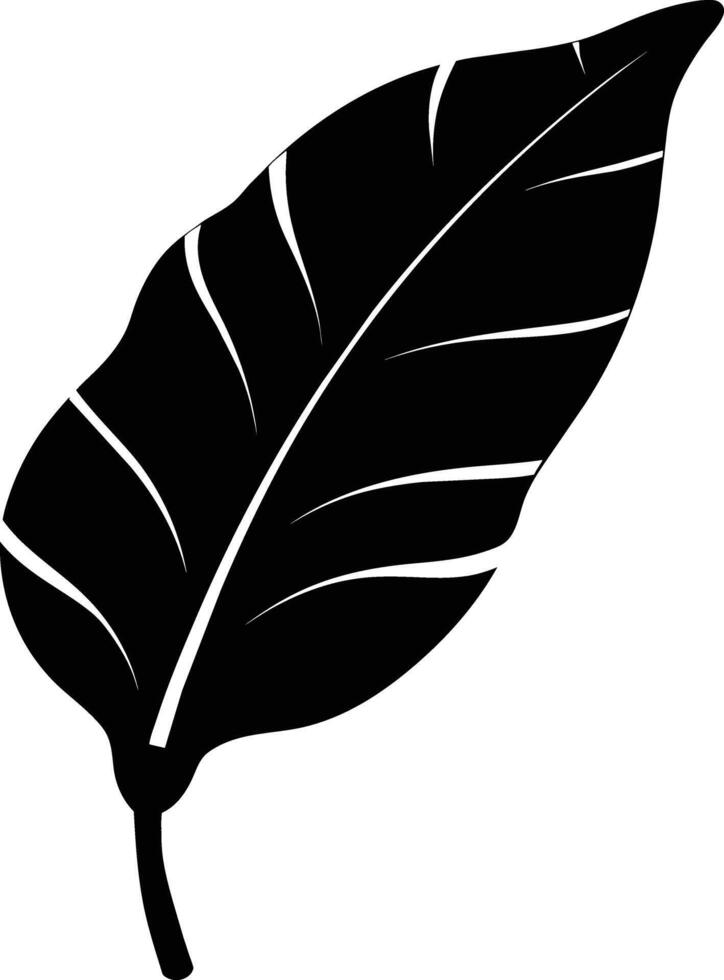 A black and white silhouette of a Banana leaf vector