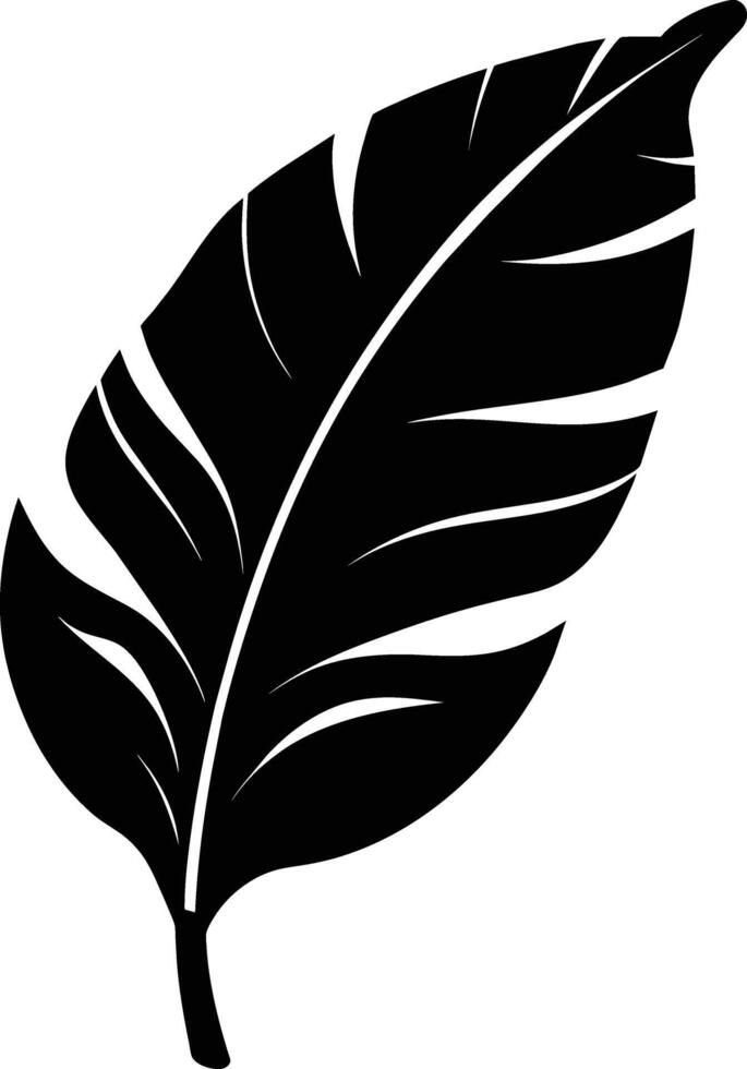 A black and white silhouette of a Banana leaf vector