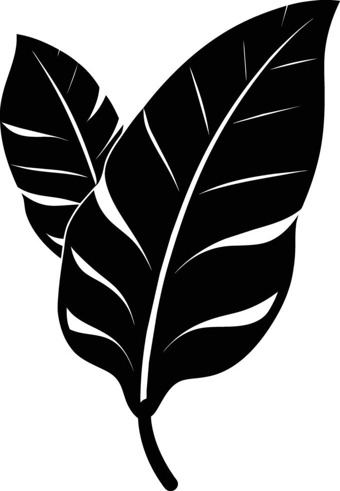 A black and white silhouette of a Banana leaf vector