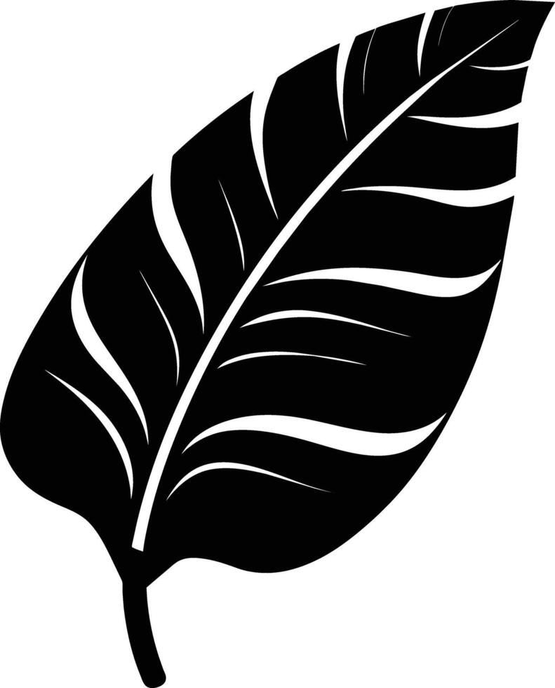 A black and white silhouette of a Banana leaf vector