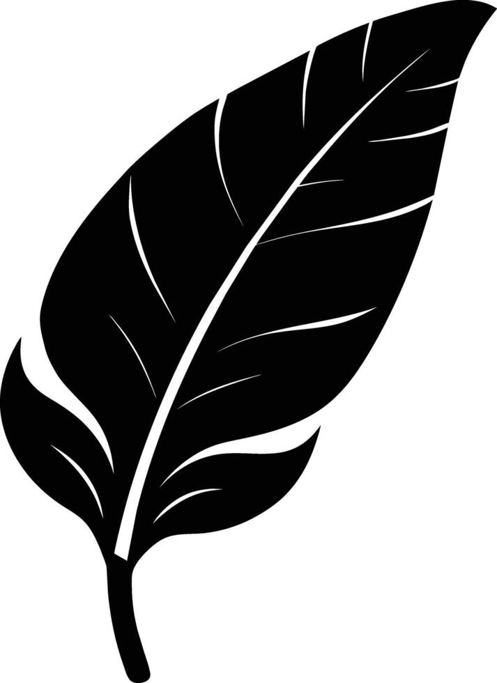 A black and white silhouette of a Banana leaf vector