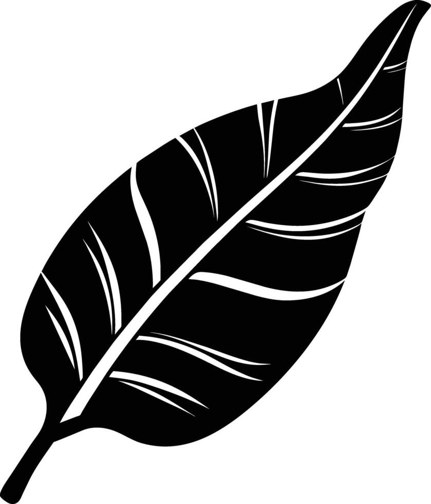 A black and white silhouette of a Banana leaf vector