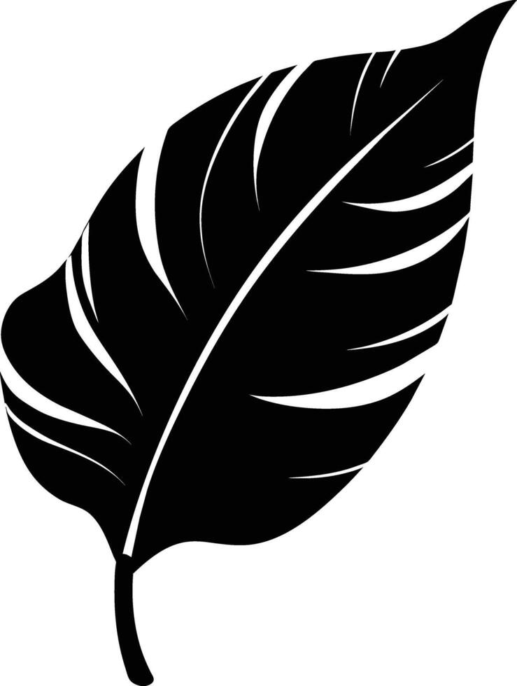 A black and white silhouette of a Banana leaf vector