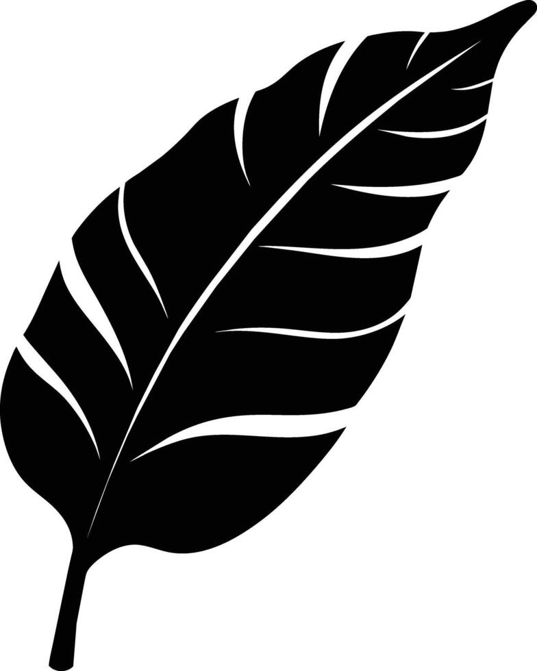 A black and white silhouette of a Banana leaf vector