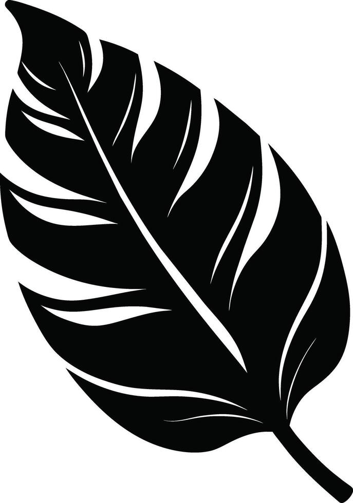 A black and white silhouette of a Banana leaf vector