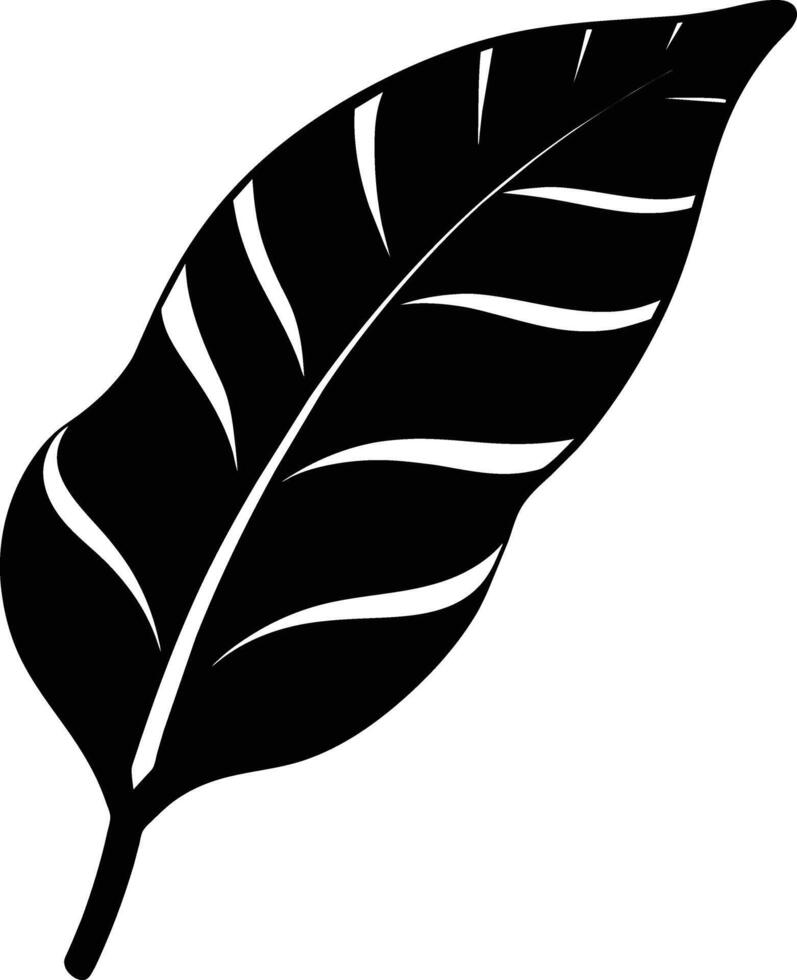 A black and white silhouette of a Banana leaf vector