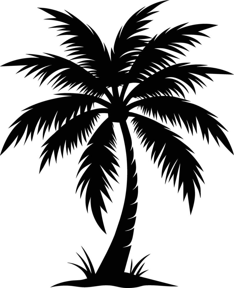 palm tree silhouette on white background vector