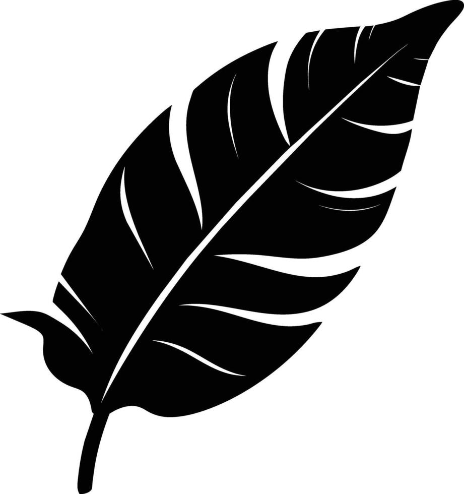 A black and white silhouette of a Banana leaf vector