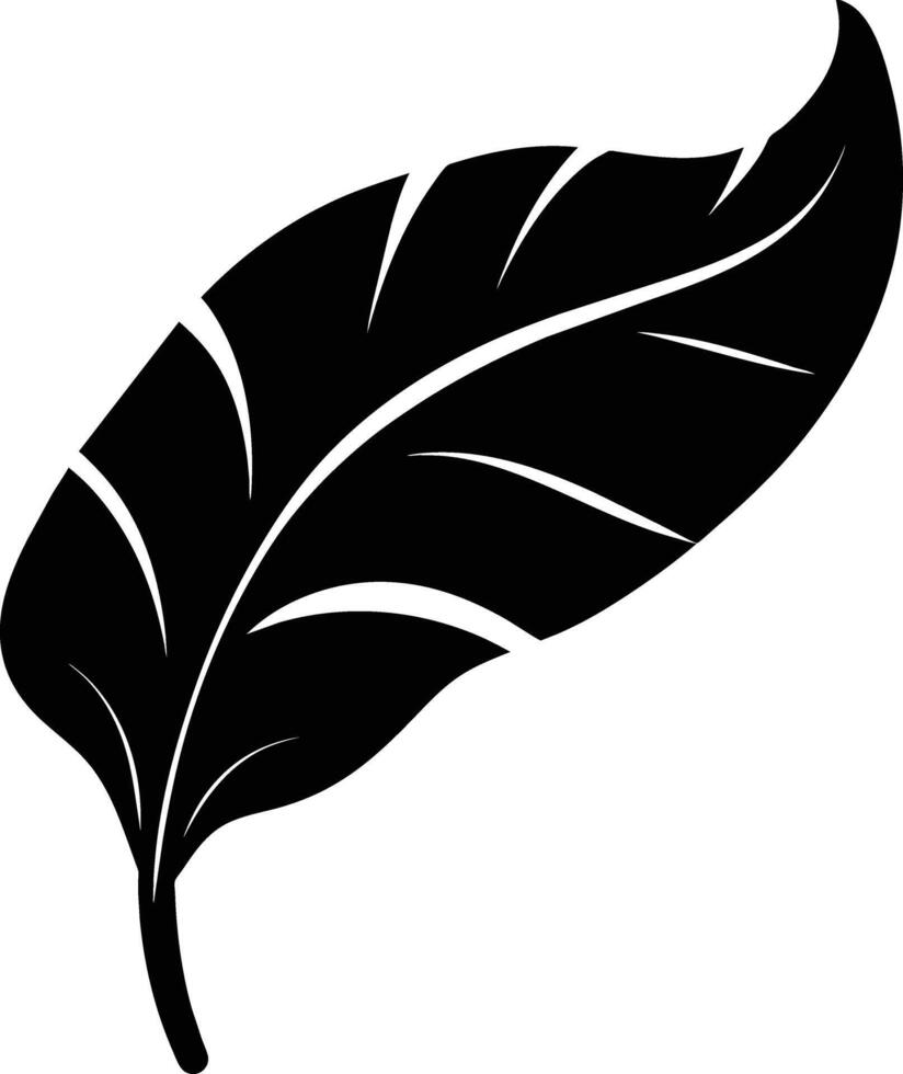 A black and white silhouette of a Banana leaf vector