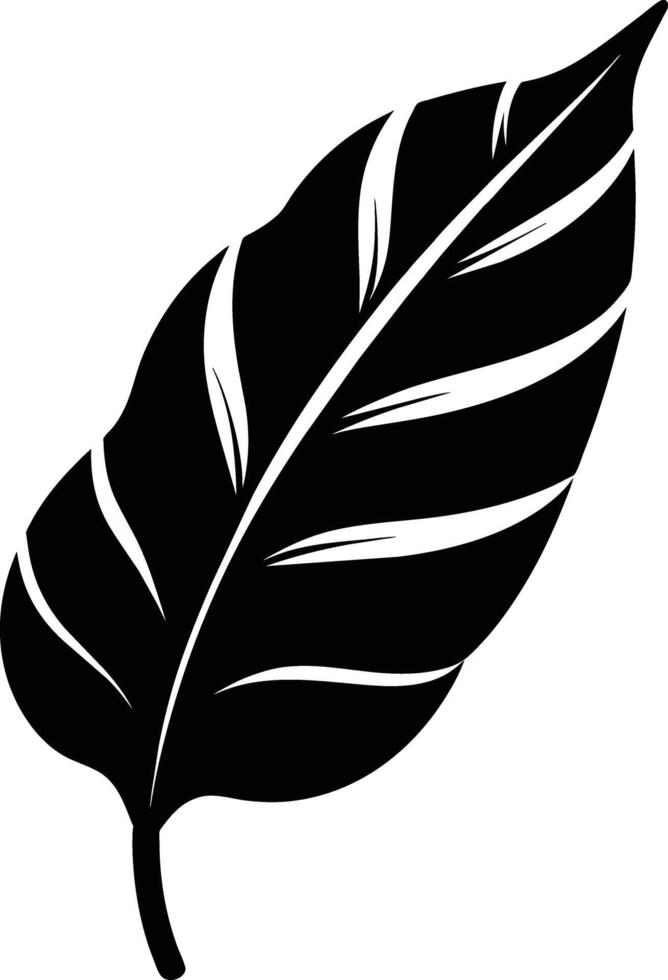 A black and white silhouette of a Banana leaf vector