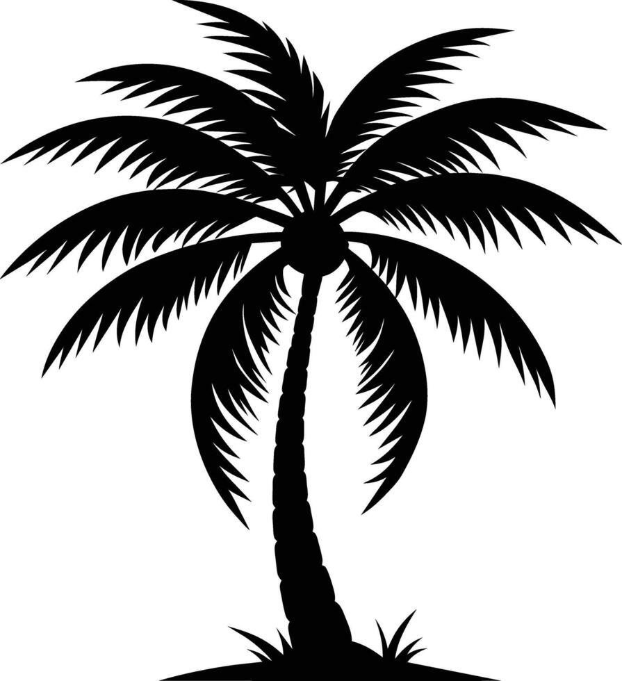 palm tree silhouette on white background vector