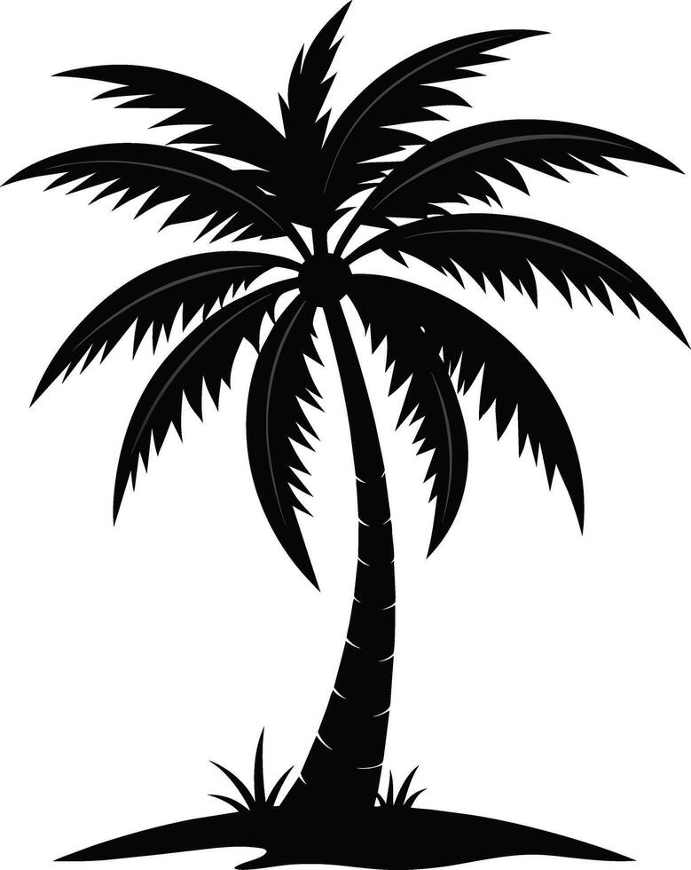 silueta de palmera sobre fondo blanco vector