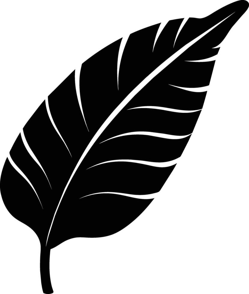 A black and white silhouette of a Banana leaf vector