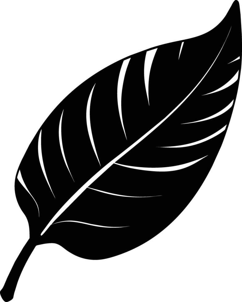 A black and white silhouette of a Banana leaf vector