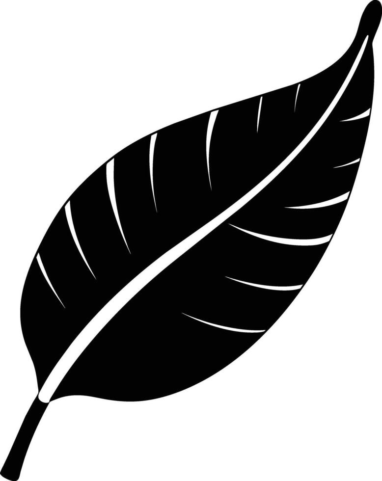 A black and white silhouette of a Banana leaf vector